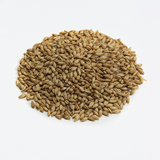 Briess Malting 2-Row Brewers Malt