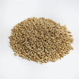 Briess Malting Pale Ale Malt
