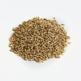Bestmalz Acidulated Malt