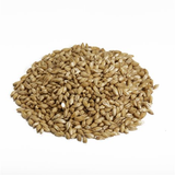 Canada Malting Corporation Superior Pilsen Malt