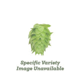Yakima Chief Hops 7 C's US Pellet