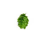 Yakima Chief Hops Liberty US Pellet